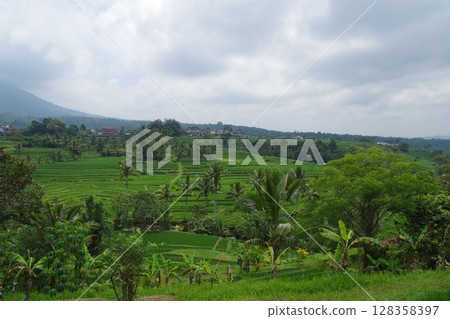Indonesia, World Heritage Site, Subak Landscape of Mount Batukaru, Jatiluwih Rice Terraces Indonesia, World Heritage Site, Subak Landscape of Mount Batukaru, Jatiluwih Rice Terraces 128358397