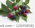 Summer sweet and sour fruit blackberry 128358582
