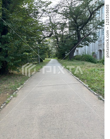 Edo Castle Outer Moat Path 128358608
