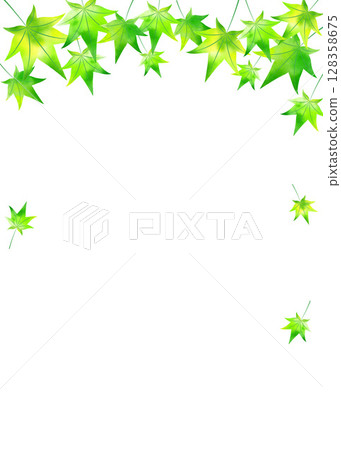 清爽的新綠色楓葉框架插圖背景傳單材料垂直白色背景png 128358675