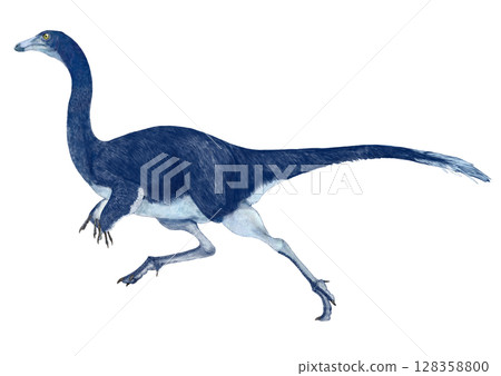 Olmithomimus - A representative dinosaur of the Olmimididae class, also known as ostrich-like dinosaurs. Olmithomimus - A representative dinosaur of the Olmimididae class, also known as ostrich-like dinosaurs. 128358800