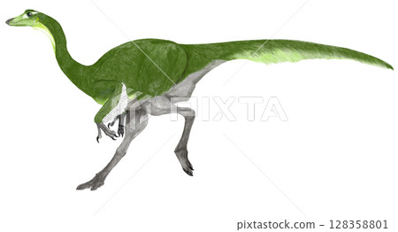 Struthiomys - A large dinosaur of the Ormimid group, also known as an ostrich-like dinosaur. Struthiomys - A large dinosaur of the Ormimid group, also known as an ostrich-like dinosaur. 128358801