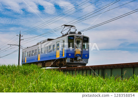 從淵龍池觀賞睡蓮和越前鐵道 從淵龍池觀賞睡蓮和越前鐵道 128358854
