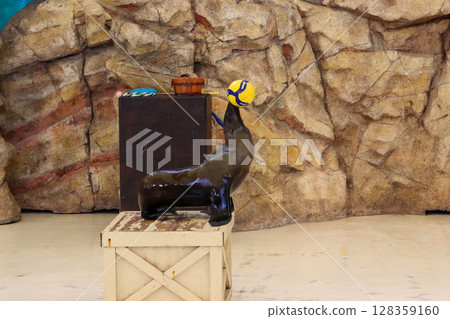 海獅表演球 海獅表演球 128359160