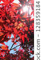 Under the autumn leaves 128359184