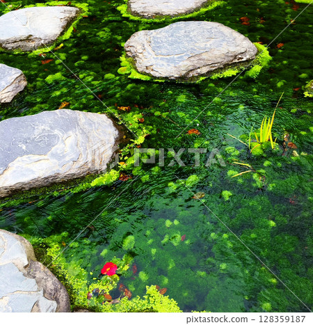 Beautiful green and red flowers 128359187