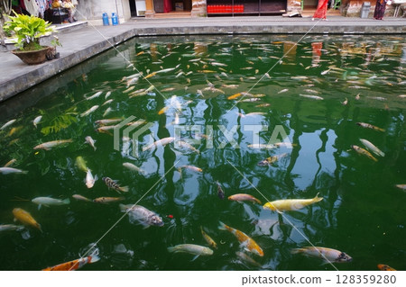 Tirta Empul Temple, Bali, Indonesia 128359280
