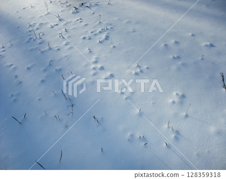 Fresh snow blankets the ground, showcasing numerous tracks and patterns made by animals exploring the area. The sunlight glints off the snow, enhancing the natural beauty. 128359318