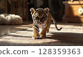 A young tiger cub walks on a soft rug in a warm and inviting room. The sunlight filters in, highlighting its playful demeanor and striking markings as it curiously investigates its surroundings. 128359363
