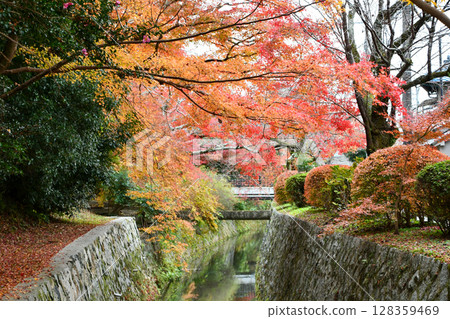 Autumn in Kyoto, Tetsugaku-no-michi Autumn in Kyoto, Tetsugaku-no-michi 128359469