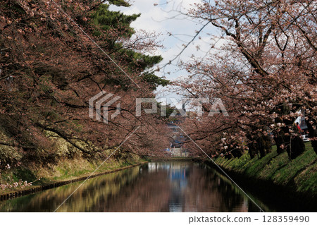弘前公園外護城河櫻（部分盛開） 128359490
