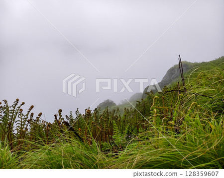 Misty Green Mountain Ridge with Dense Foliage Misty Green Mountain Ridge with Dense Foliage 128359607