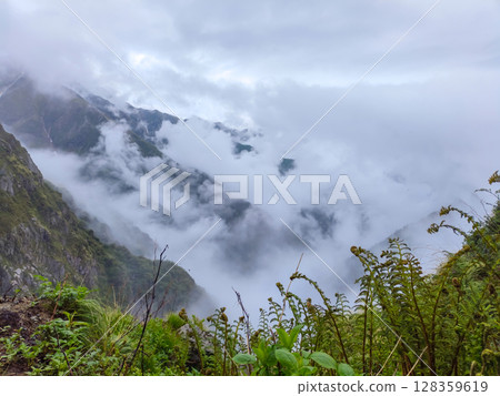 Misty Mountain Vista with Lush Fern Foreground 128359619