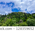 Lush Green Forest Hill Under Vibrant Blue Sky with Clouds 128359652