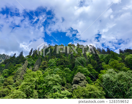 Lush Green Forest Hill Under Vibrant Blue Sky with Clouds 128359652