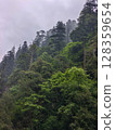 Misty Mountain Forest with Dense Green Trees 128359654