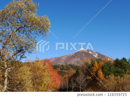 深秋時節，白雪皚皚的磐梯山和殘存的秋葉在湛藍的天空映襯下，美麗極了。 128359725