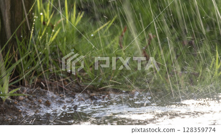 大雨的圖片 大雨的圖片 128359774
