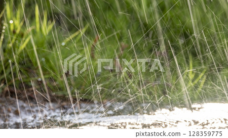 大雨的圖片 128359775