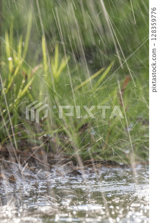 大雨的圖片 大雨的圖片 128359776