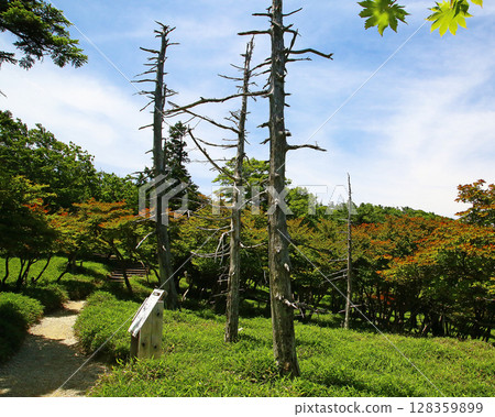 Odaigahara summer Odaigahara summer 128359899