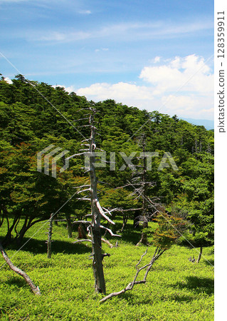 Odaigahara summer Odaigahara summer 128359911
