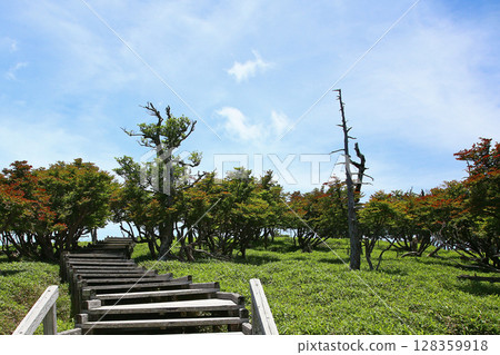 Odaigahara summer Odaigahara summer 128359918