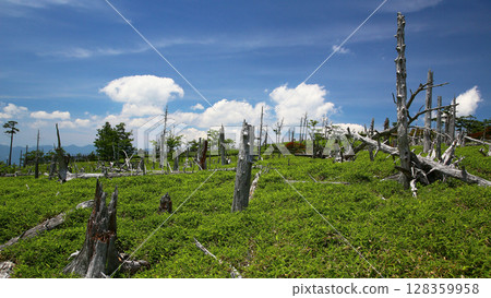 禦台原夏天 128359958