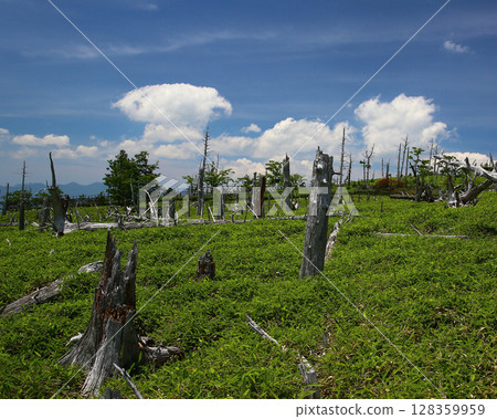 禦台原夏天 128359959