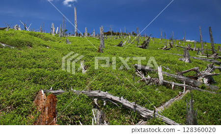 禦台原夏天 128360020