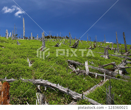 禦台原夏天 128360021