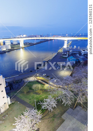 Hachinohe Bridge and cherry blossoms seen from the Gret Tower Minato (Hachinohe City, Aomori Prefecture) 128360131