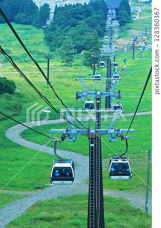 Hakuba Goryu Alpine Botanical Garden Nagano Prefecture Hakuba Goryu Alpine Botanical Garden Nagano Prefecture 128360367