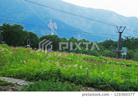 Hakuba Goryu Alpine Botanical Garden Nagano Prefecture 128360377