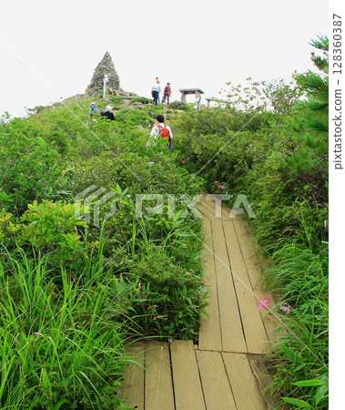 Hakuba Goryu Alpine Botanical Garden Nagano Prefecture 128360387