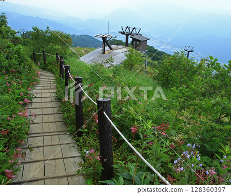Hakuba Goryu Alpine Botanical Garden Nagano Prefecture 128360397