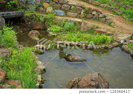 Hakuba Goryu Alpine Botanical Garden Nagano Prefecture 128360417