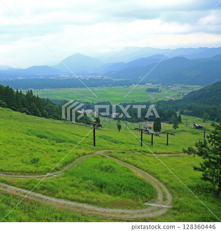Hakuba Goryu Alpine Botanical Garden Nagano Prefecture Hakuba Goryu Alpine Botanical Garden Nagano Prefecture 128360446