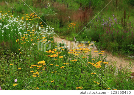 Hakuba Goryu Alpine Botanical Garden Nagano Prefecture 128360450