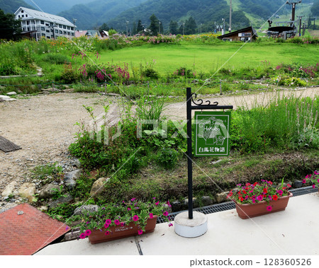 Hakuba Goryu Alpine Botanical Garden Nagano Prefecture Hakuba Goryu Alpine Botanical Garden Nagano Prefecture 128360526