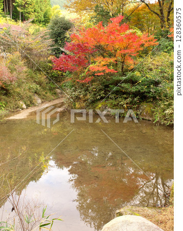 秋天的風景與池塘 128360575