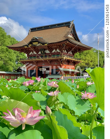 盛開的蓮花和隨神門在藍天和新綠的襯托下格外醒目(愛知縣岡崎市伊賀八幡宮) 盛開的蓮花和隨神門在藍天和新綠的襯托下格外醒目(愛知縣岡崎市伊賀八幡宮) 128361458