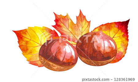 Watercolor illustration of chestnuts and fallen leaves - Autumn food series Watercolor illustration of chestnuts and fallen leaves - Autumn food series 128361969