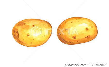 地瓜的水彩插圖 地瓜的水彩插圖 128362069