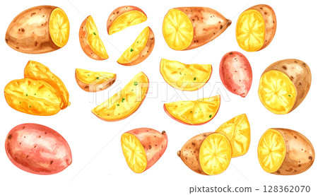 Watercolor illustration of sweet potato 128362070