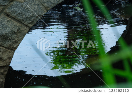 The reflected waterside The reflected waterside 128362110
