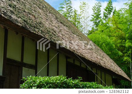 Thatch roof and bamboo grove 128362112