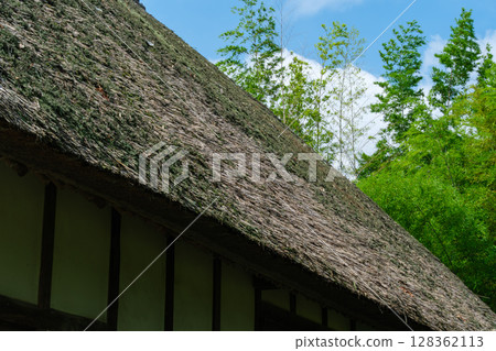 Bamboo forest and old private house Bamboo forest and old private house 128362113