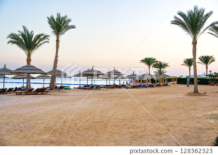 Sand beach with palm trees, umbrellas, and loungers during early morning near the ocean 128362323