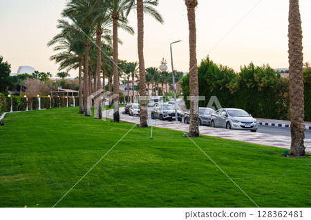 Cars parked along a well-maintained road lined with palm trees in a lush green landscape during the golden hour 128362481